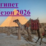 c173a837-a990-416d-a2b8-277ef274f81c