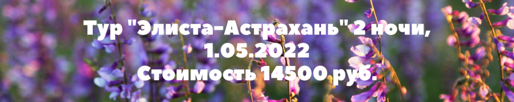 Зимний Архыз (4)